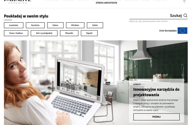 paradyz.com case study