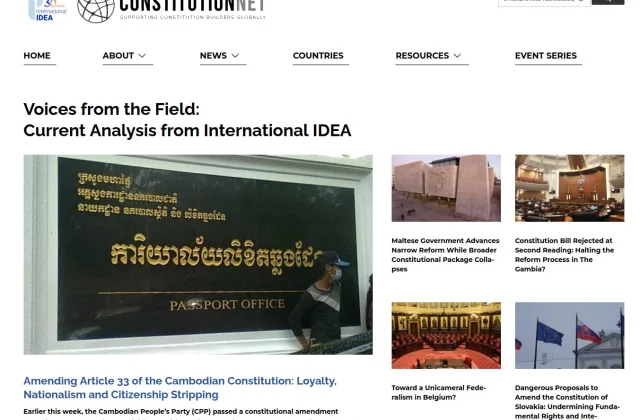constitutionnet.org case study