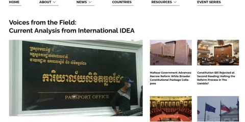 constitutionnet.org screenshot
